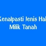 Geran individu vs Geran Master