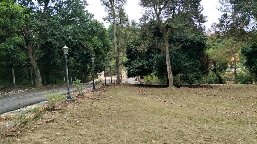 1f415c9e-ed16-47ff-9b85-039181c29d29