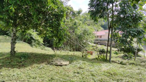 Tanah Adat Melaka