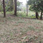 Kampung Pasir Ulu Klang