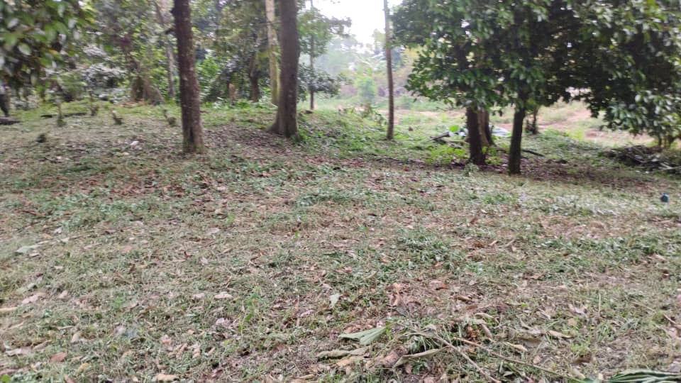 Kampung Pasir Ulu Klang