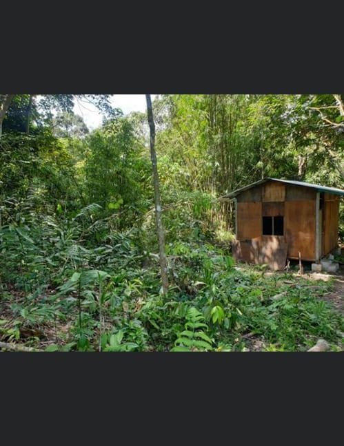 0f39c3c5-ee41-4d2d-af39-6dfcd93d21e8