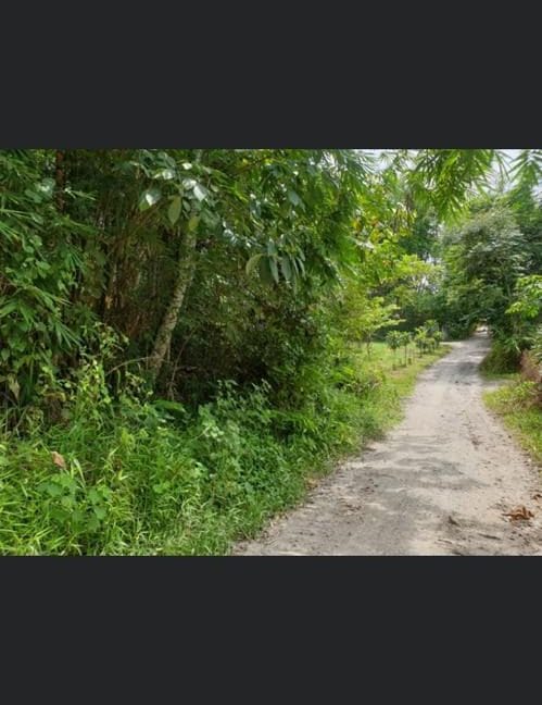 16185fb2-392b-4b98-8568-4a19168a7fe3