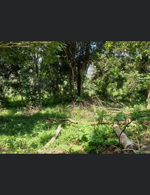 3f2012c1-eb41-4152-a318-3a13133ab2d1