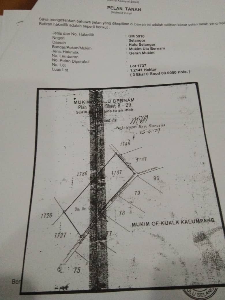 Plantar Buloh Tanjung Malim