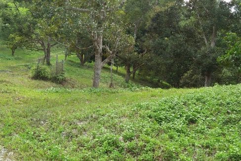 Lebu Jalan Mempaga Bentong