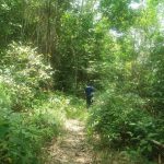 Batu 22 Sungai Lui