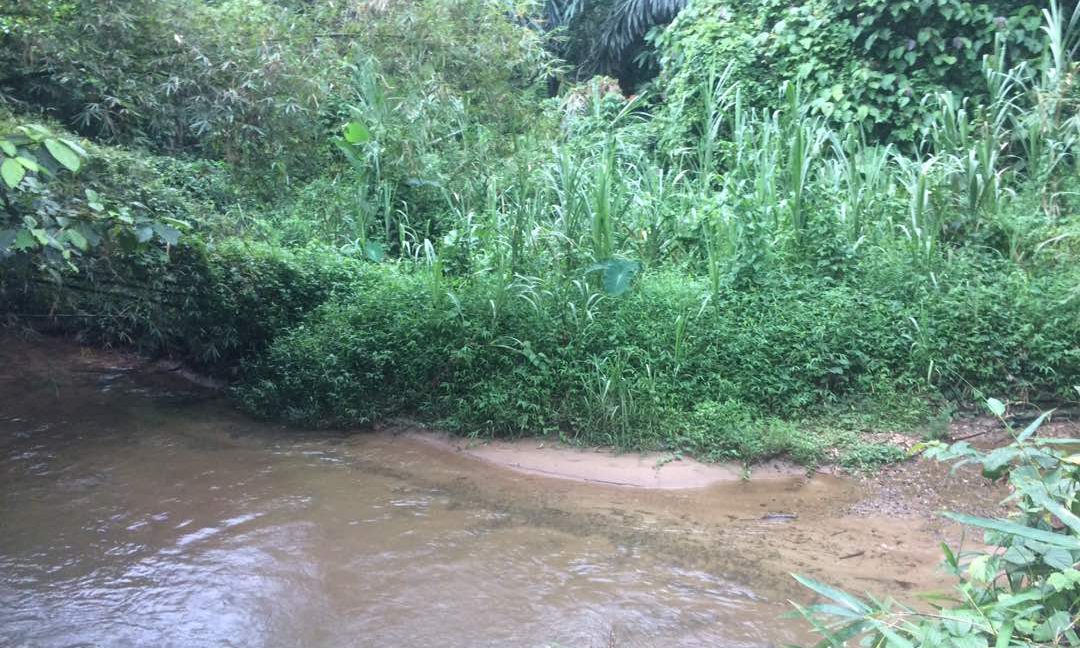 003048b6-1dd2-44bb-97f7-71fca8902799