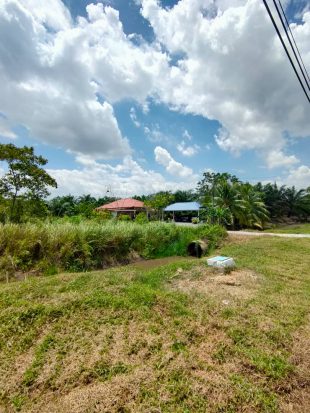 Tanjung 12 Kuala Langat