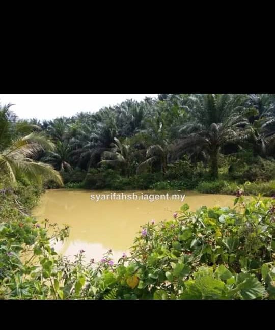 115443a2-7ffc-4505-a6f3-a33bebb45136