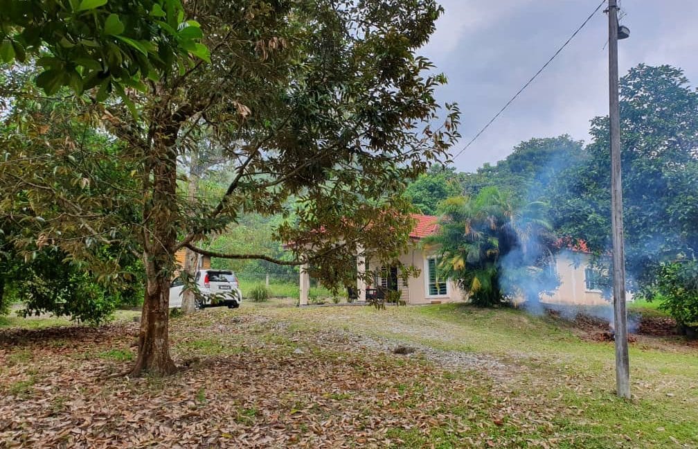 1347d715-19e1-4965-9d4e-ffe2738080ee