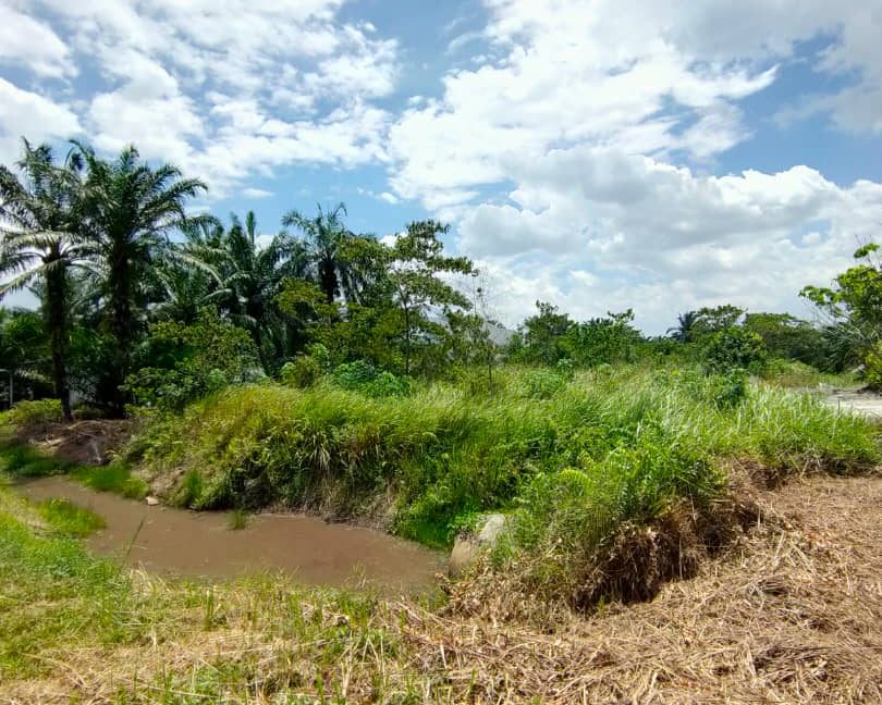 17e3df7b-c4ac-42b5-845f-b1869c424d96