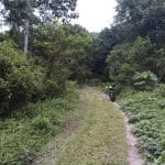 Agen / Ejen Hartanah Berdaftar di Sungai Lui