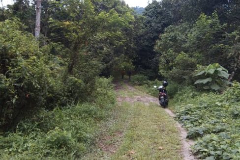 Agen / Ejen Hartanah Berdaftar di Sungai Lui