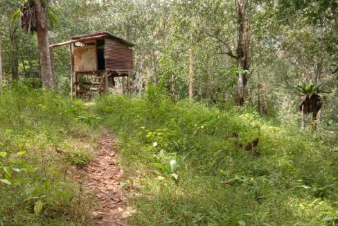 EJEN HARTANAH BERDAFTAR DENGAN LEGACY REAL PROPERTY. AKTIF DI KAWASAN Kampung Padang Hulu Langat