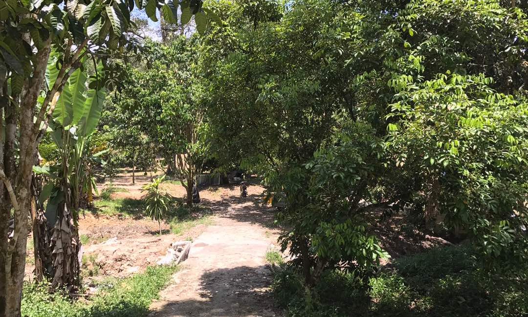 28d56f46-8d99-41fd-99af-4d66c95ad1fe