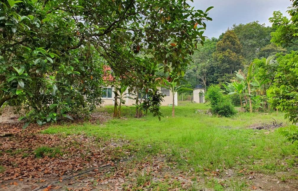 293e86e7-c04b-4ca5-9779-665ae74eb88a