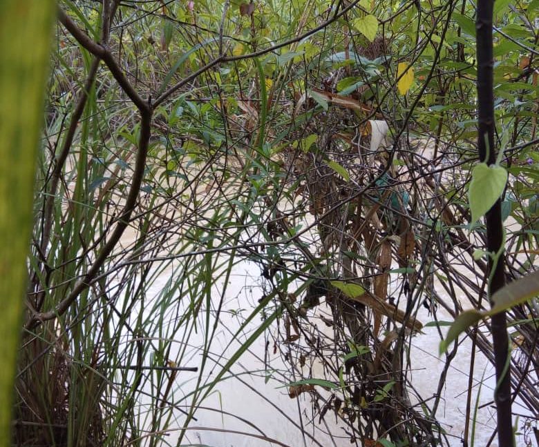 31ba22a2-15cb-4779-9f36-f55300b12ab9