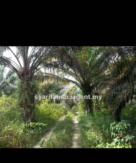 3c48eaef-6a61-4995-816c-ca6a8c2ba4ea