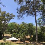 Dusun Durian Hulu Langat