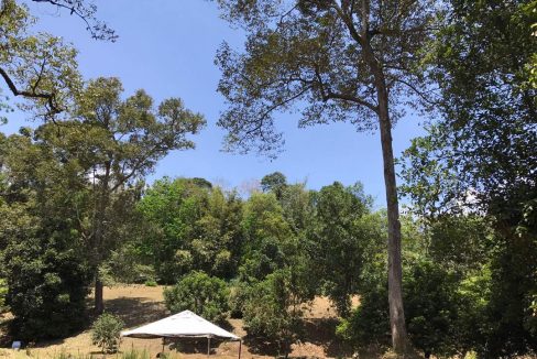 Dusun Durian Hulu Langat