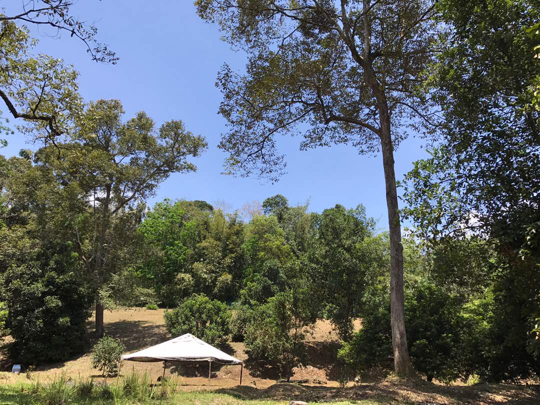 Dusun Durian Hulu Langat