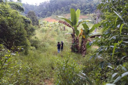 Tanah Dusun Hulu Langat