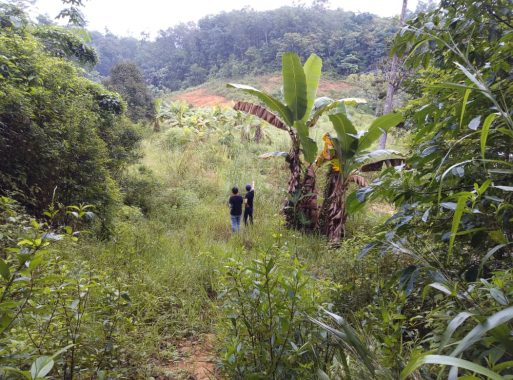 Tanah Dusun Hulu Langat