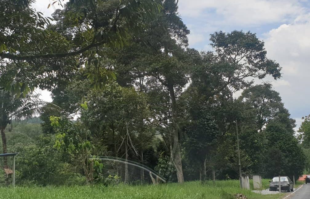 46b29fa1-a603-462c-a93f-bc5038f45a6d