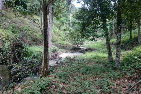 Agen / Ejen Hartanah Berdaftar di Sungai Makau