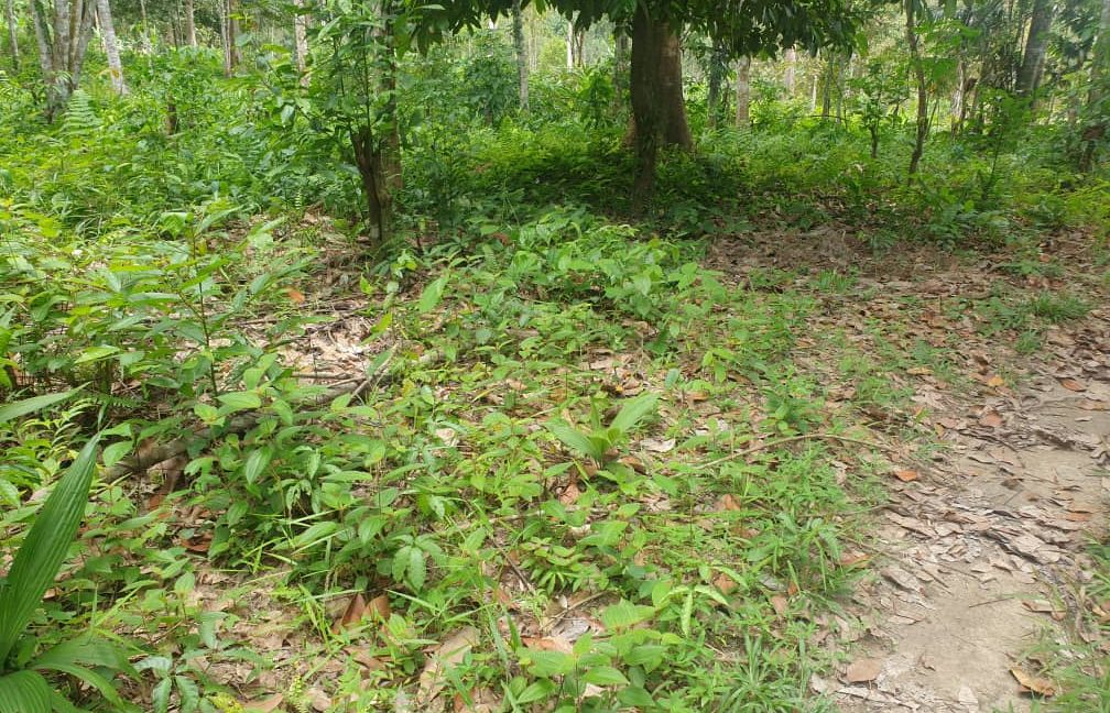 4f59ced7-4f7a-4fe6-8403-91bb27338a72