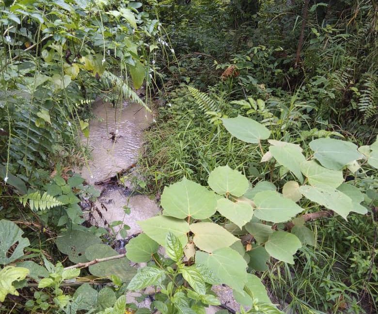 500b1b4b-5a5a-4f3c-a1e5-90121abc4acd