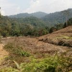 Sungai Lui Mukim Hulu Langat