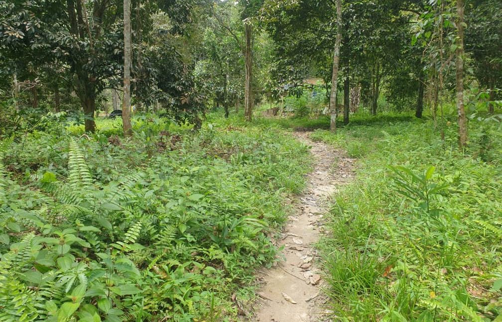 5816fbbc-847d-47e9-9783-e44a85207343