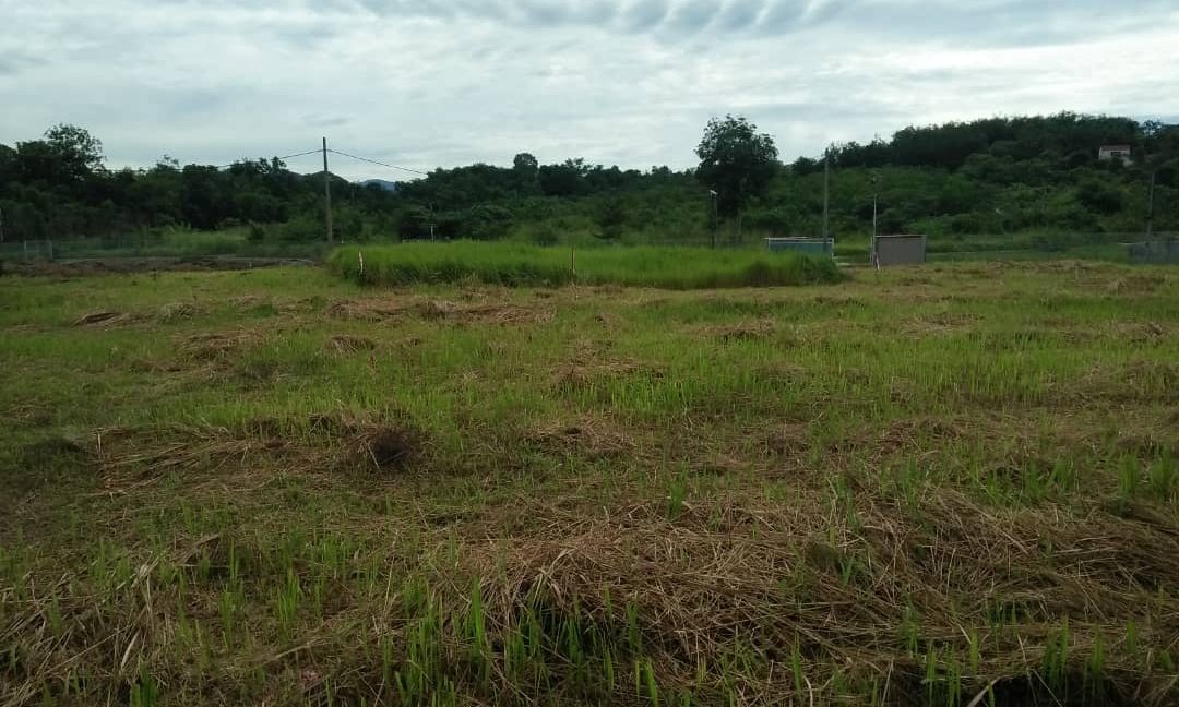 59593669-6c99-4cf0-88c8-b376567b229b