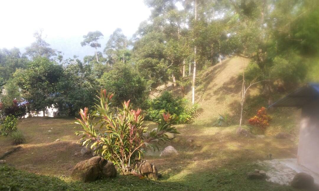 5aa06196-dddd-4e62-9c67-14b4b928fded