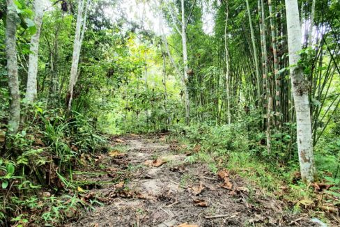 Jalan Sungai Jerang Hulu Langat