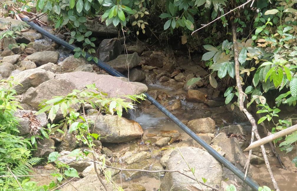 5fc1e82b-cbc3-432f-9bed-a5091755eb0f