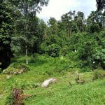 Tanah Untuk Dijual Hulu Langat