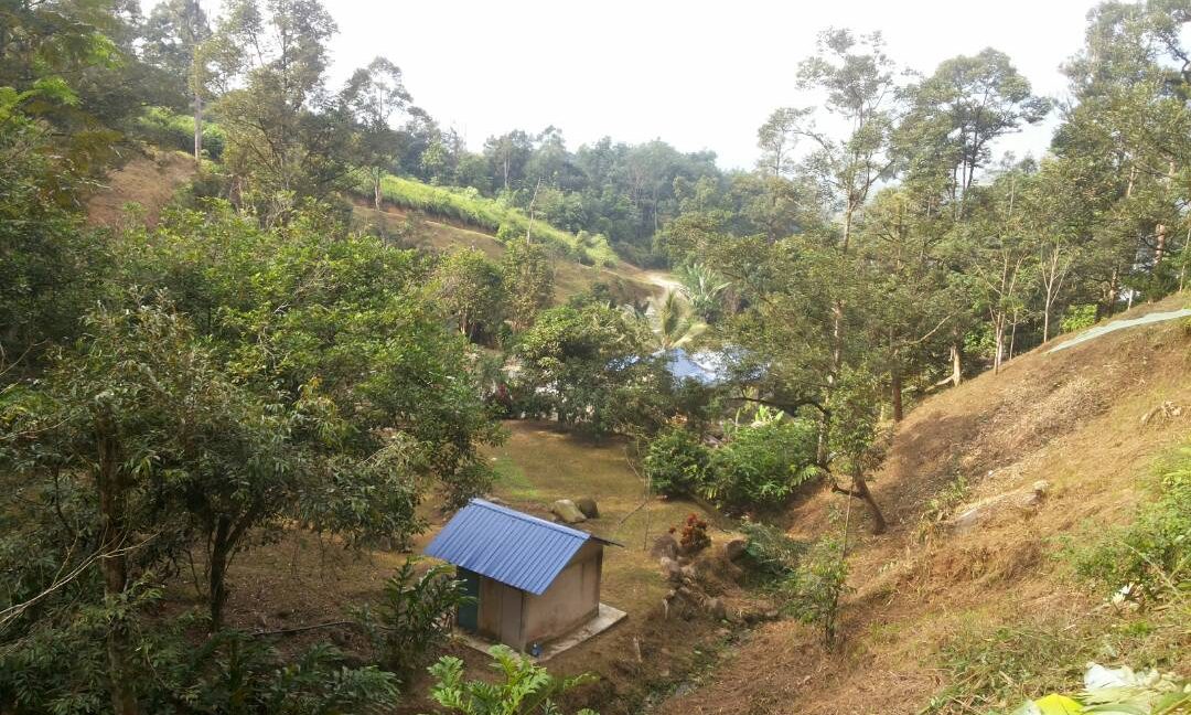 619cc4c5-d77f-4f90-91f5-f31aed902137