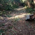 EJEN HARTANAH BERDAFTAR DENGAN LEGACY REAL PROPERTY. AKTIF DI KAWASAN Jalan Sentosa Hulu Langat