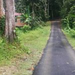 Batu 20 lubuk kelubi