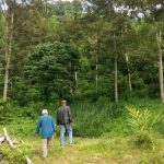 EJEN HARTANAH BERDAFTAR DENGAN LEGACY REAL PROPERTY. AKTIF DI KAWASAN Tanah Belukar Hulu Langat