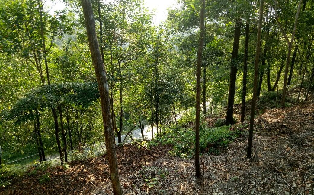 8184779a-747c-498a-b0af-390f0594b3fa