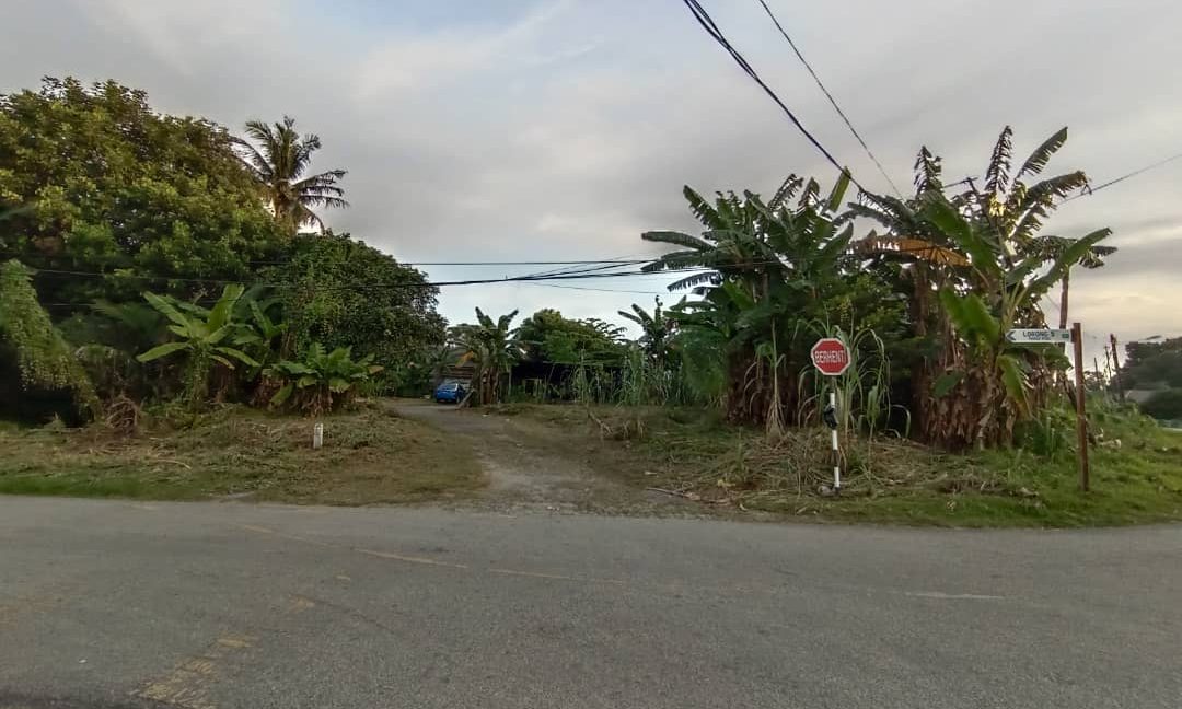 8919038c-fcee-4338-b2a9-9b05a6b99824