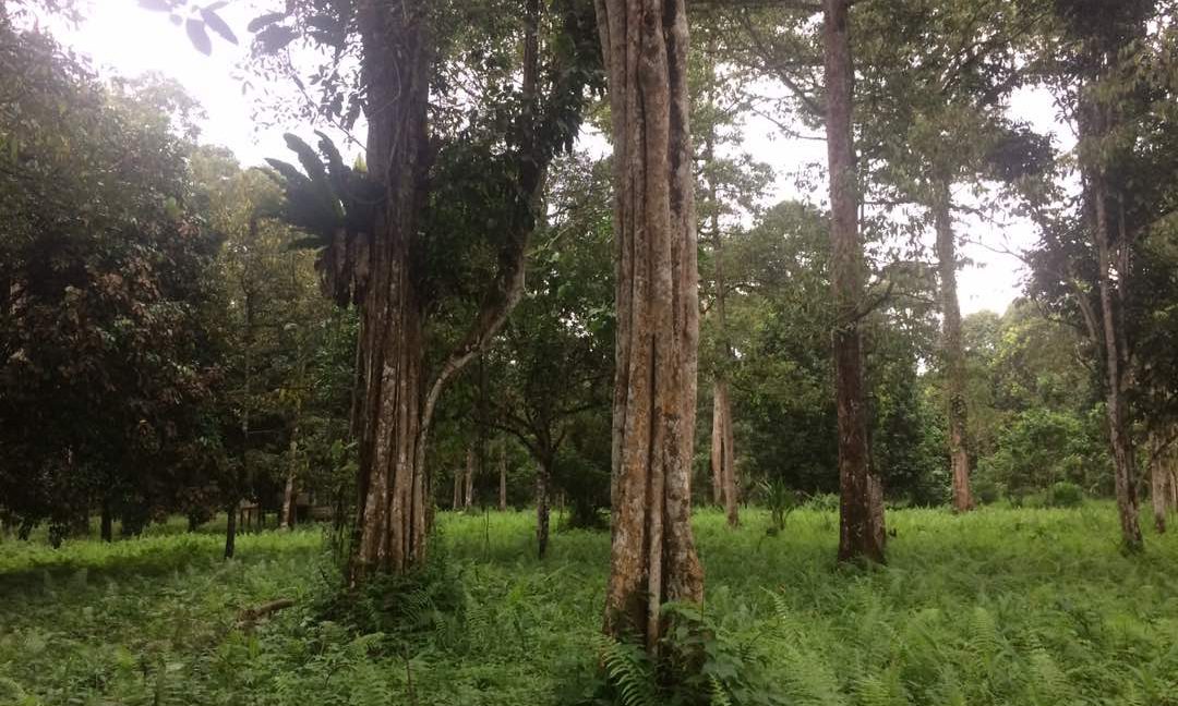 8c38719a-9059-4aa9-8e67-9e8795d02e0b