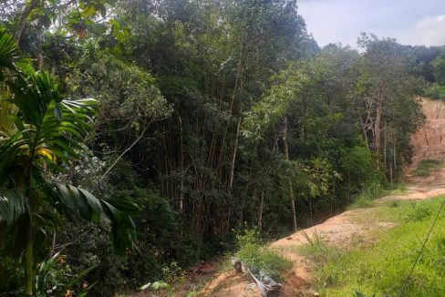 Tanah Pertanian Hulu Langat