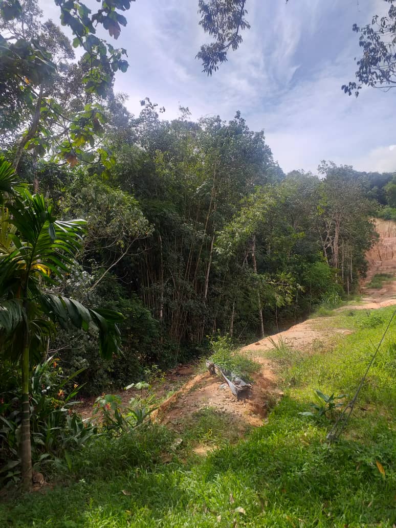 Tanah Pertanian Hulu Langat