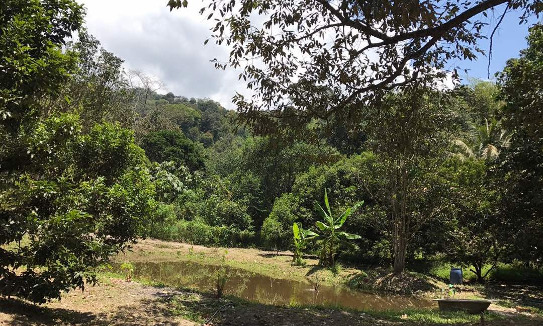 bb63afc2-4123-4cdf-a58d-592c886a20a1