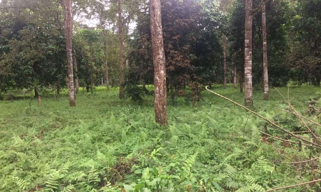 c792dc03-0d0a-45cf-ba69-b00330a0b4a7